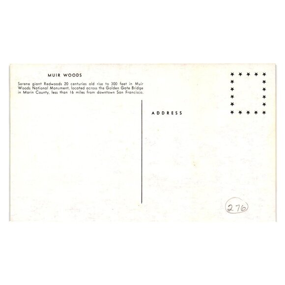 Muir Woods National Monument Postcard Giant Redwoods California Vintage Souvenir - Picture 2 of 2